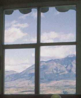 Hair today, gone tomorrow...