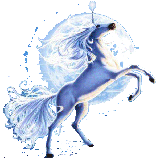 Trot over and see my favorite links!!!